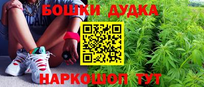 гидра Берёзовский