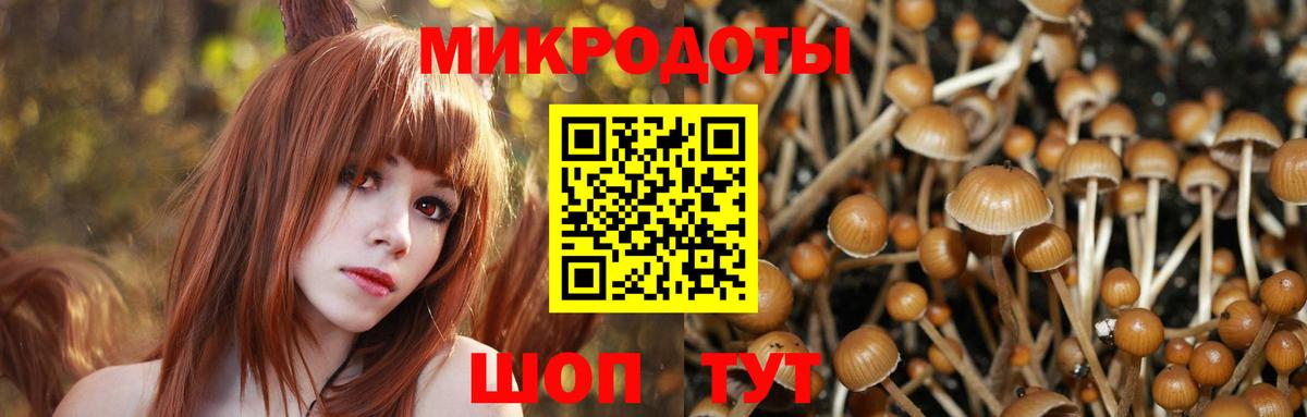Галлюциногенные грибы Cubensis  Вход с VPN  цены наркотик  Карачаевск 